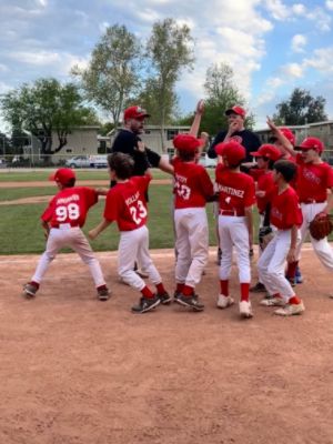Supporting Davis Little League and the Love of the Game