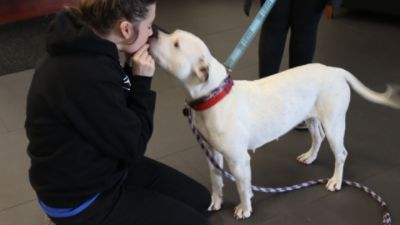 A Subaru Love Promise Moment: Finding Forever Homes