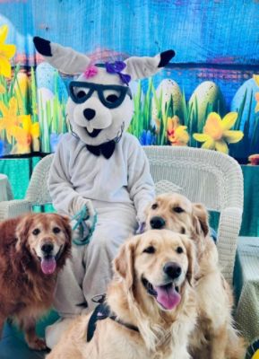 Photos with the Easter Bunny 