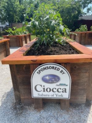 Yorktown Park - Community raised garden boxes and picnic tables.