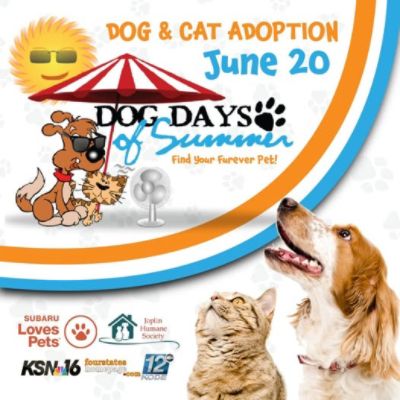 Another Paw-some Success: Local Adoptions Soar in Single-Day Event!
