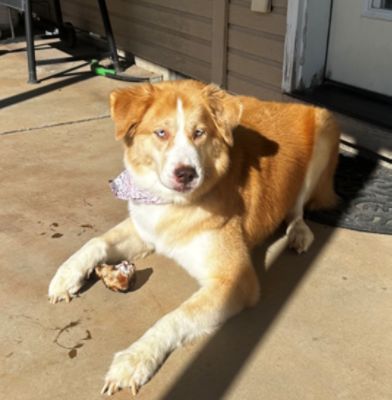 Finding My Best Friend