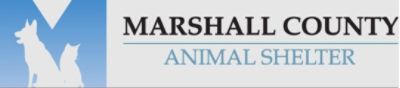 marshall county animal shelter