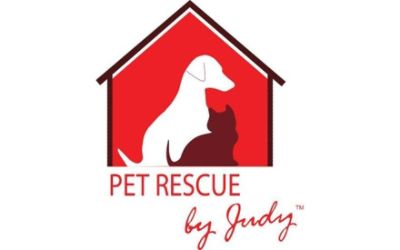 Pet Rescue by Judy