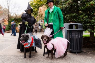 A ‘Doggone’ Great Partnership: Fred Anderson Subaru & The North Carolina Arboretum