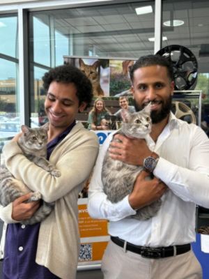 Dulles Motorcars Subaru Saves the Lives of Homeless Pets