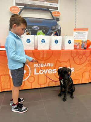 Exeter Subaru and Mary's Dogs Rescue & Adoption