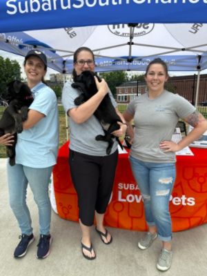 Home Runs and Happy Tails