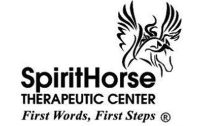 partnerCompanyName