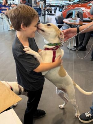 A Shared Mission of Compassion: ARF Beacon & Mid-Hudson Subaru Bring Subaru Loves Pets to Life