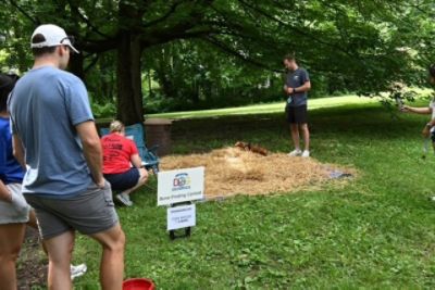 🐾 A Tail-Wagging Good Time at the 2025 ARPO Dog Olympics! 🐾