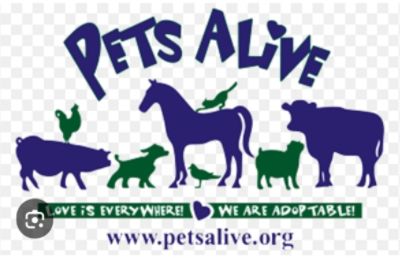 Pets Alive