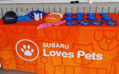 Adopt A Shelter Pet Day Event