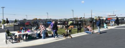 Finding My Best Friend