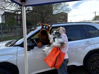 Dogs' Day Out — Subaru Concord Love Promise Story