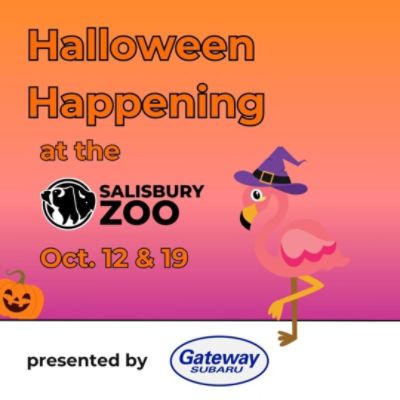 Halloween Happening 