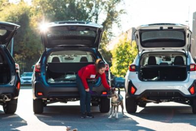 Fitzgerald Subaru of Gaithersburg Loves HRA Pets!