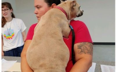 Love Promise Story, Shannon, and her puppies
