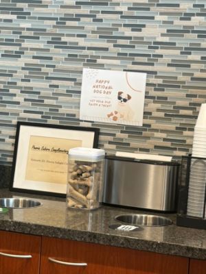 Couldn't Forget Celebrating Our Furry Best Friends