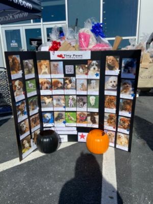 October 19, 2024 Adoption Event