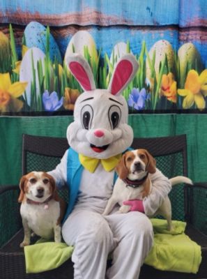 Photos with the Easter Bunny 
