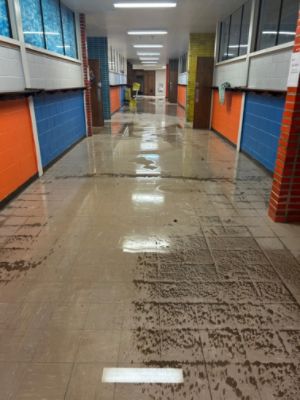 Fueled by Love, Driven by Community