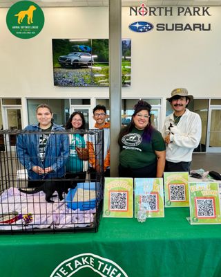 The Best Treat of All: Forever Homes Found at Halloween Wooftacular