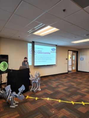 Slide 3