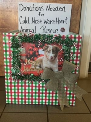 Animal Food and Supply drive