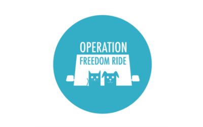 Operation Freedom Ride