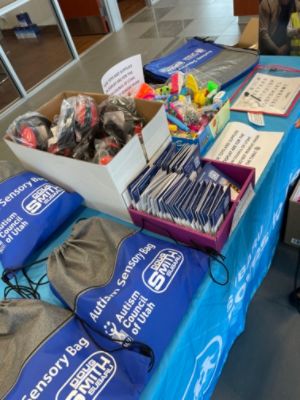 Over 4,000 Sensory Bags!