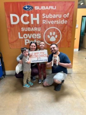 Happy Endings for 12 Pets!