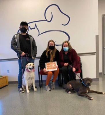 Subaru Loves Pets - Mia