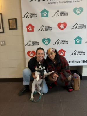 Subaru Helps Shelter Pets Find Loving Forever Homes 