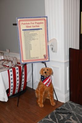 Dyer Supports Patriots For Puppies