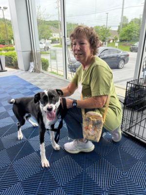 Rafferty Subaru Loves Pets Initiative Sees Over 70 Pets Find Homes this Spring