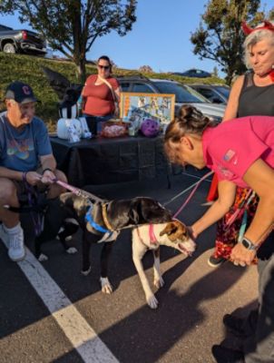 Spooky Fun & Furry Friends: A&T Subaru’s Trunk or Treat with Dog Town Rescue