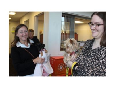 Supporting Pets Come First Through Subaru Loves Pets