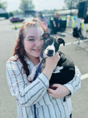 Fur-ever homes for pets at Second Chance