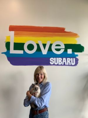 Finding the Purrrfect Companion