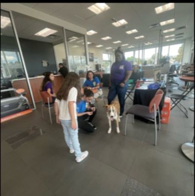 Partnering for Pet Adoptions with the Human Society of Greater Miami"