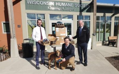 Sommer's Subaru Supports Local Homeless Animals!
