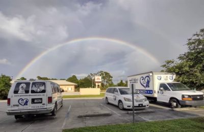 For The Love Of Paws Senior Pet Sanctuary Loves Subaru!