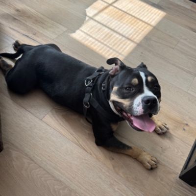 Waiting for the Right Match