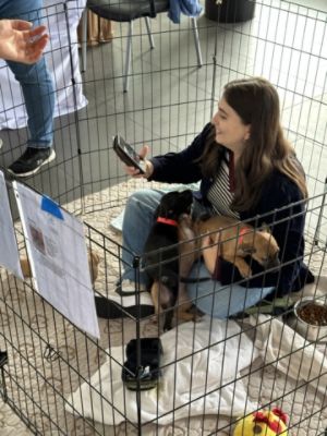 Puppy Adoption at Stevens Creek Subaru – Subaru Loves Pets