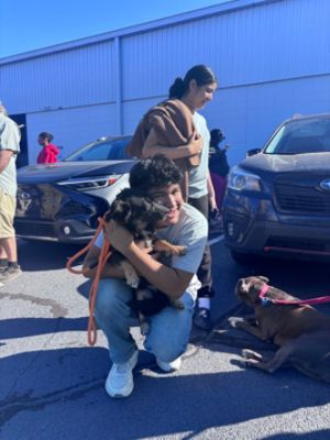 Making a PAW-sitive Difference, One Pet at a Time! 🐾❤️