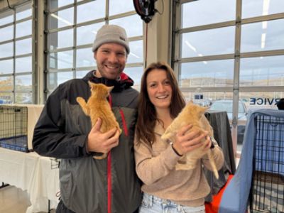 Subaru Loves Pets: Finding Homes for Furry Friends