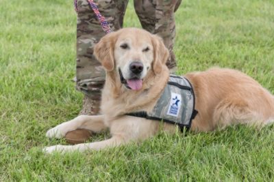 SUBARU MAKES VETERAN HEALING PAW-SIBLE DURING NATIONAL DISASTER