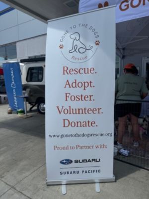 Gone To the Dogs Rescue and Subaru Pacific