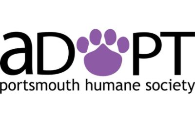 partnerCompanyName